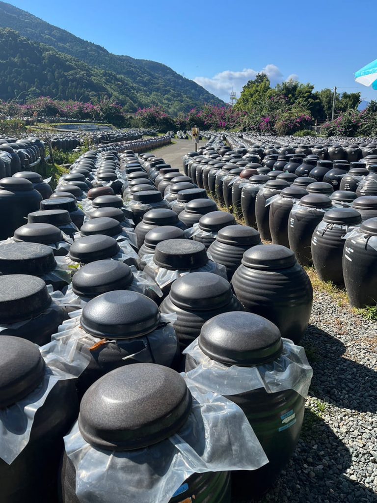 福山の黒酢の壺畑